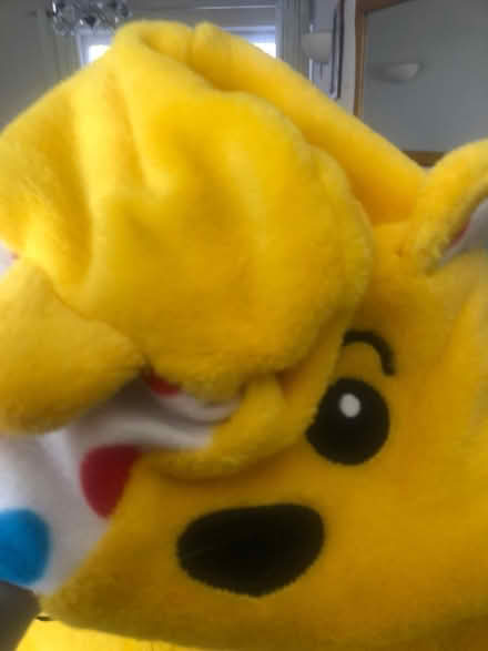 Photo of free Pudsey Onesie 12/13 (Hertford SG14) #3