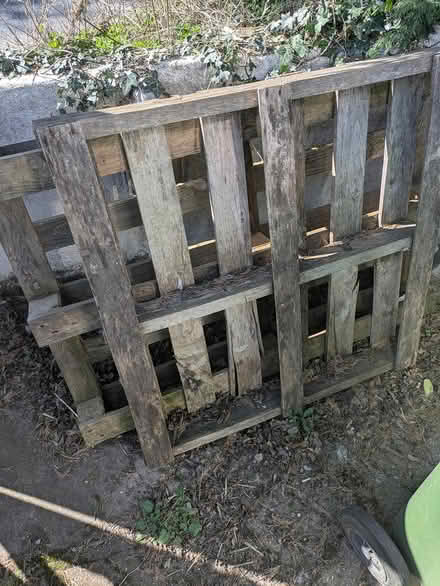 Photo of free Pallets (Banham nr16) #1