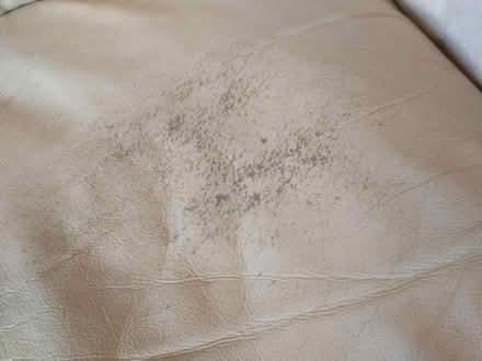 Photo of free Leather sofa (Downham market) #3