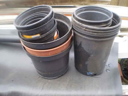 Photo of free Plastic Plant pots (Oxton CH43) #1