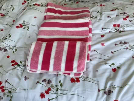 Photo of free Towels (Fords Farm RG30) #1