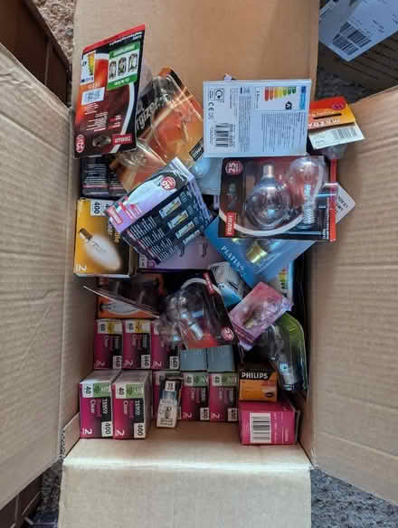 Photo of free Light Bulbs (Downes Head EX17) #3