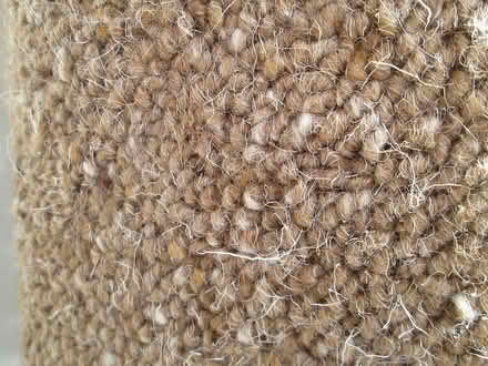Photo of free Carpet offcuts (Enfield EN2) #1