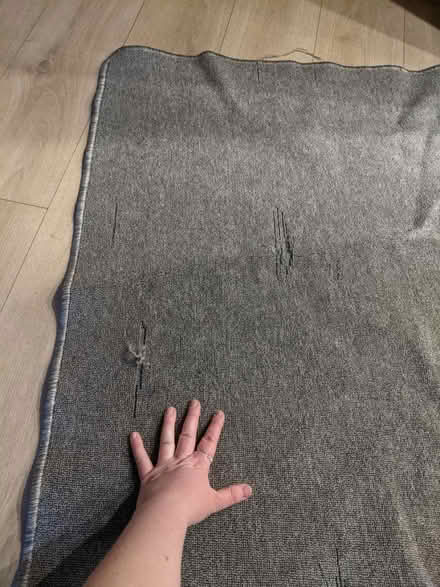 Photo of free Grey rug (EH5, Granton, Edinburgh) #4