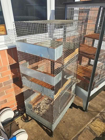 Photo of free Small Pet cages (Wr2) #3