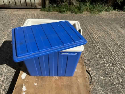 Photo of free Coleman cool box (Bloomfield) #1