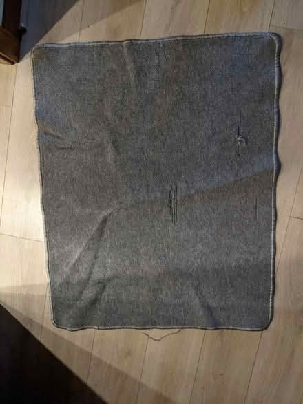 Photo of free Grey rug (EH5, Granton, Edinburgh) #3