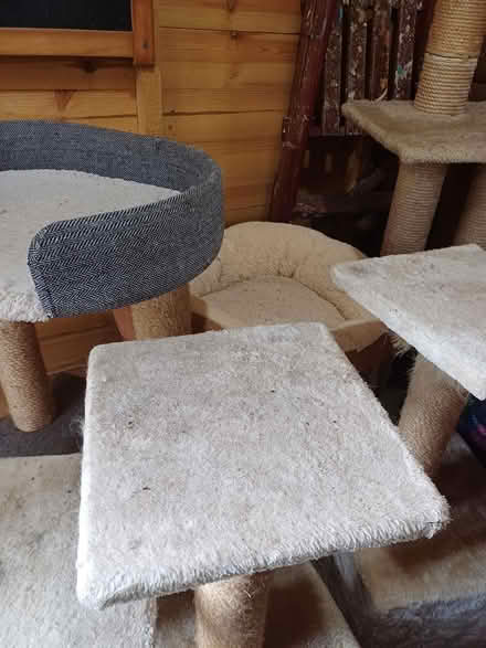 Photo of free Scratchposts (Larkhall) #2