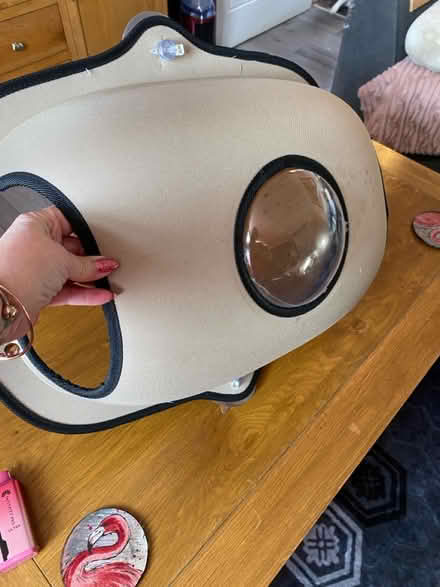 Photo of free Cat bed (B14) #1