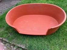 Photo of free Plastic dog bed (North Hill, Minehead) #1