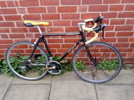 Photo of free Cycle (Meole Brace SY3) #1