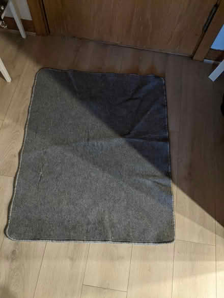 Photo of free Grey rug (EH5, Granton, Edinburgh) #2