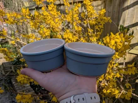 Photo of free Blue ramekins (Wokingham RG41) #3