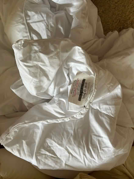 Photo of free Two duvets (Bramhall SK7) #4