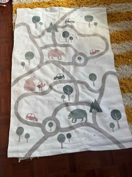 Photo of free Children’s rug (TW10) #1