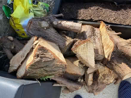 Photo of free Logs (Stanton Harcourt OX29) #2