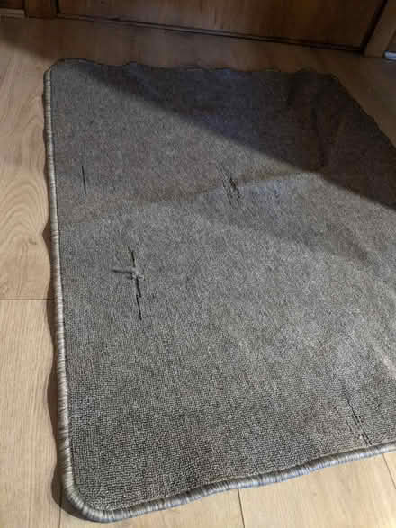 Photo of free Grey rug (EH5, Granton, Edinburgh) #1