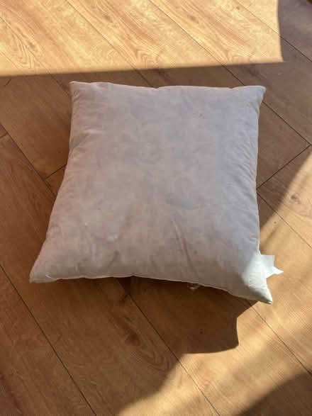 Photo of free Feather down cushion (BN41) #1