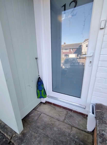 Photo of free Fins (Steyning BN44) #2