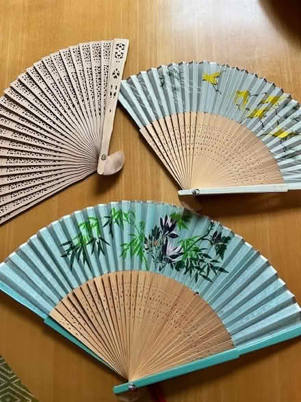 Photo of free Small Japanese Fans (west of Watertown Square) #1