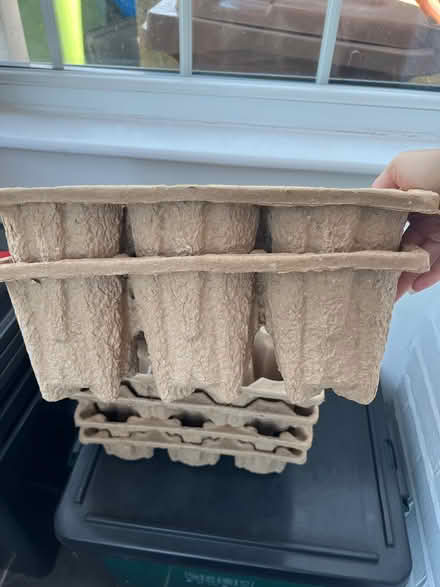 Photo of free Trays for seedlings plants (Worcester park KT4) #3