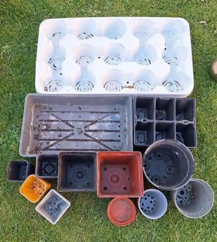 Photo of free Seed trays & plant pots (Ossett WF5) #1