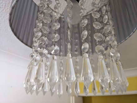 Photo of free Lamp shade (Leybourne) #3