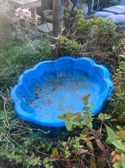 Photo of free Half sand pit (Dronfield S18) #1
