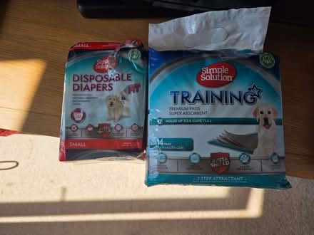 Photo of free Training pads & disposable diapers for dogs (Kingsway) #1