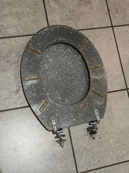 Photo of free Sparkly toilet seat (Maidenhead) #3