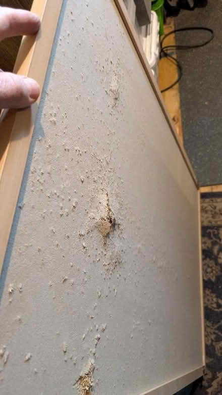 Photo of free Two pin boards (Cutteslowe OX2) #2