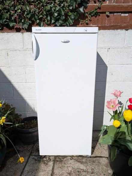 Photo of free Tall fridge (Dublin 20) #1