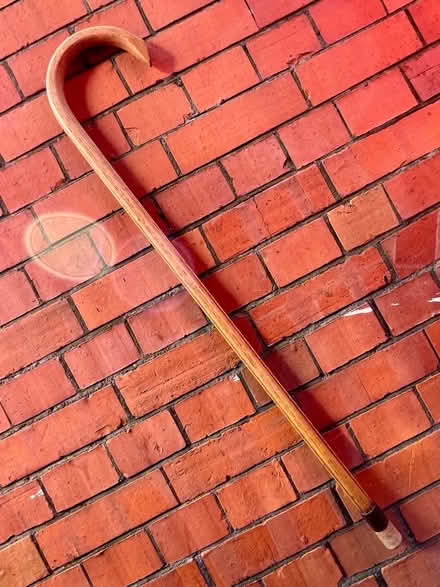 Photo of free hickory walking cane stick (Glastonbury centre BA6) #1
