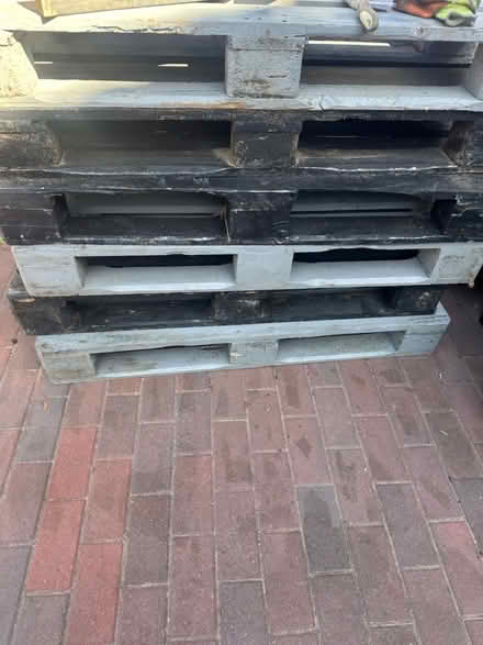 Photo of free 6 Palletes (SE26 5HR) #1