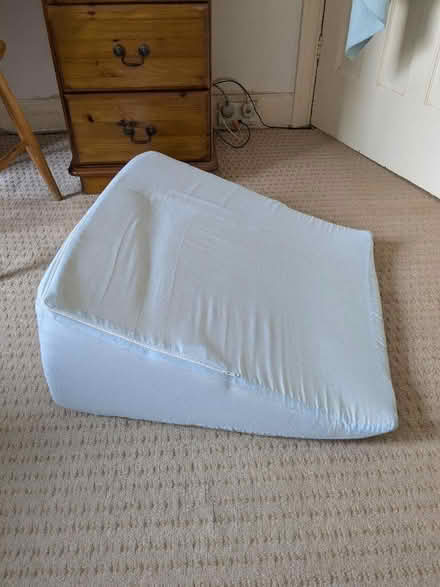 Photo of free Large wedge cushion (Brincliffe Edge S7) #2