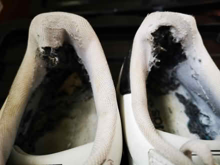 Photo of free Old pairs of mens runners (Duleek village) #4
