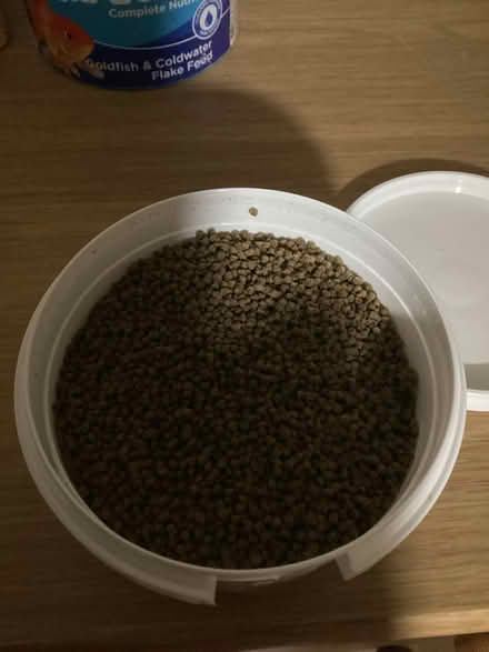 Photo of free Goldfish Supplies (Hythe,) #3