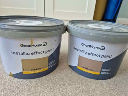 Photo of free Metallic Effect Paint for Walls and Ceilings (Emmer Green RG4) #1