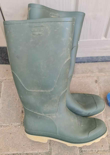 Photo of free Wellington Boots (Chippenham SN15) #1
