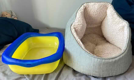 Photo of free Cat bed & litter tray (Church Langley CM17) #1