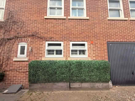 Photo of free Artificial Hedges (Wandsworth Common SW18) #2