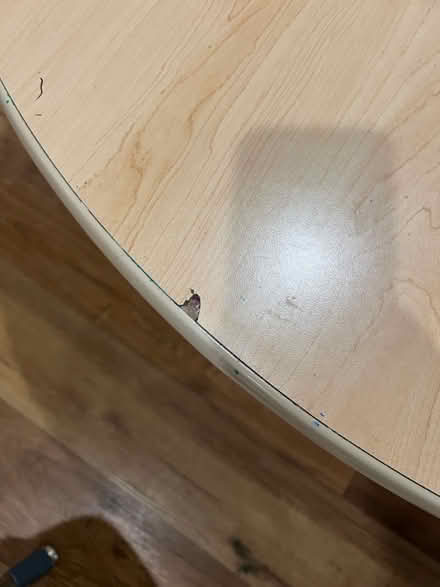 Photo of free 48’ school round table (94618) #2