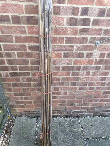 Photo of free Bamboo canes (Capel St. Mary IP9 2H*) #1