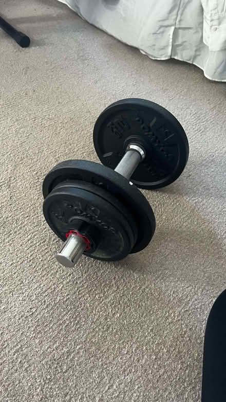 Photo of free Singular Dumbell (Harringay Ladder N8) #2