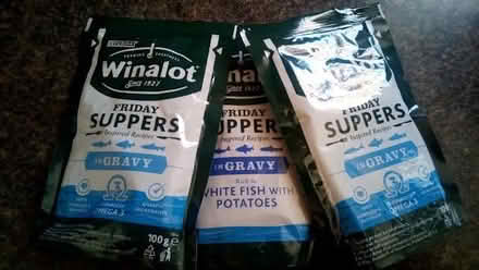 Photo of free wet dog food (par..) #1