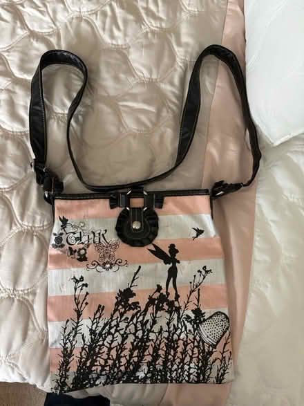 Photo of free Tinkerbell tote (Aberdeen) #1