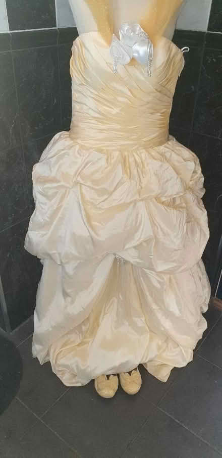 Photo of free Belle cosplay dress (Hollinswood TF3) #1