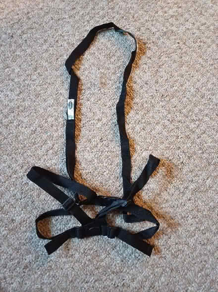 Photo of free Children's Harness (Lazonby CA10) #1