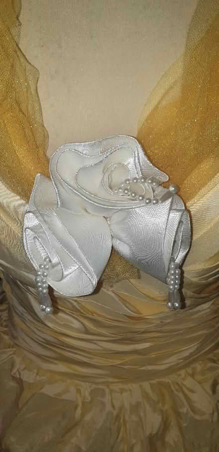 Photo of free Belle cosplay dress (Hollinswood TF3) #2