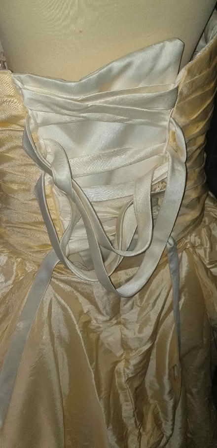 Photo of free Belle cosplay dress (Hollinswood TF3) #3